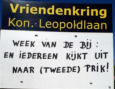 De 'Week van de bij'... - Lommel