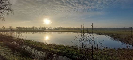 De Weidestraat, zeven weken later - Lommel