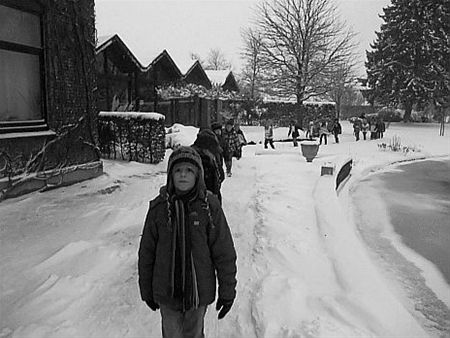 De wensen van de basisschool van 't Lo - Hamont-Achel