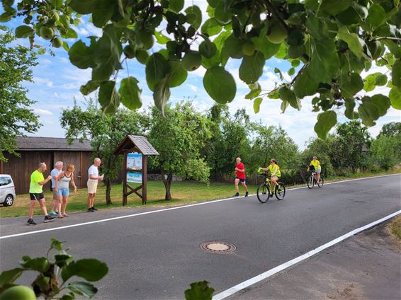 De wijsheden van de estafetteploeg - Beringen