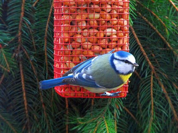 De winter nadert... - Hechtel-Eksel