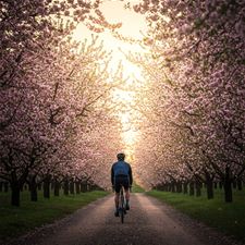 De Woensdagtrappers naar de bloesems - Pelt