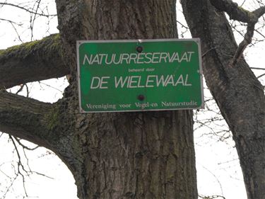 De wortels van Natuurpunt - Hechtel-Eksel