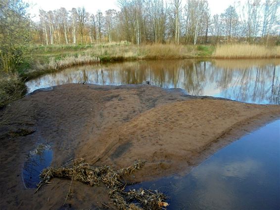 De zandvang in het wachtbekken - Pelt