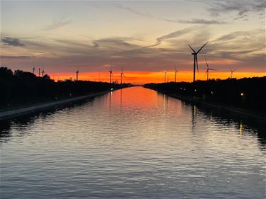 De zomer is begonnen! - Beringen