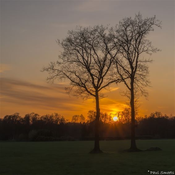 De zon ging onder... - Pelt