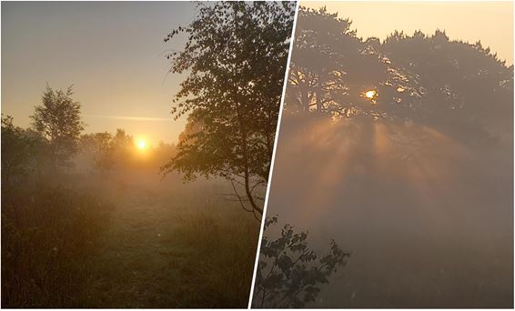 De zon komt ook op boven 't Plat - Pelt