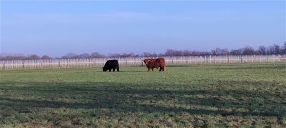 De zon zorgt voor vitamientjes - Oudsbergen