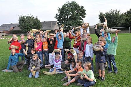 'De zwaarste biet - die zal ik nooit vergeten' - Neerpelt