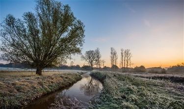 De Zwarte beek - Beringen