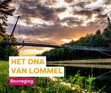 Deel je mening over wat Lommel typeert en verbindt - Lommel