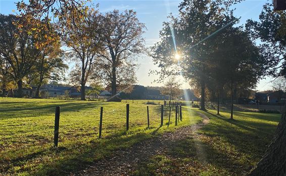 Deel je mooiste herfstfoto’s met Oudsbergen - Oudsbergen