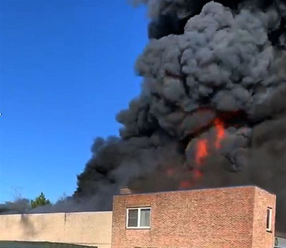 Demontagebedrijf vernield door brand - Pelt