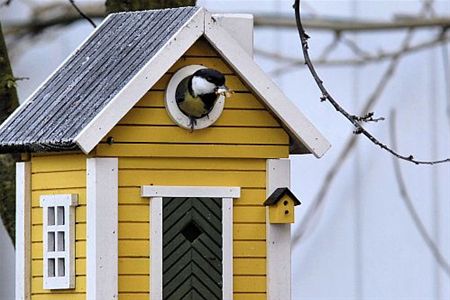 Denk aan de vogels - Houthalen-Helchteren & Pelt