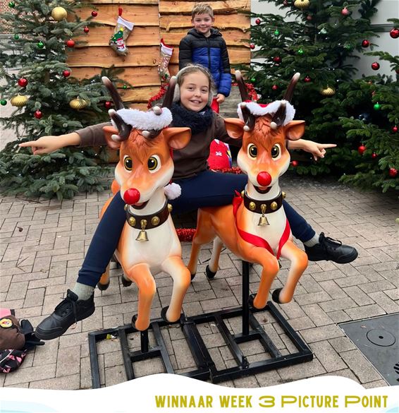 Bree - Derde winnaars Picture Point aan ijspiste bekend