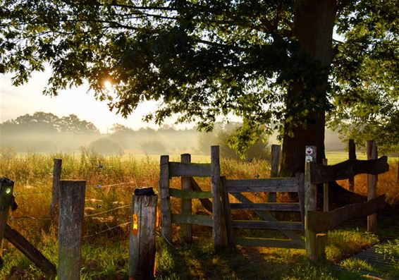 Deze week begint de herfst - Bocholt