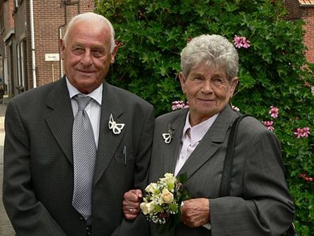 Diamant aan de Steenvaartdijk - Overpelt