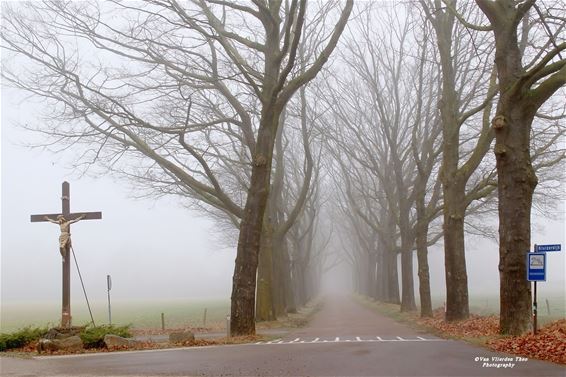 Hamont-Achel - Dichte mist zorgt voor sfeervolle beelden