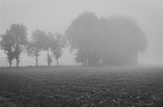 Die ochtend aan de Broeseinderdijk... - Pelt