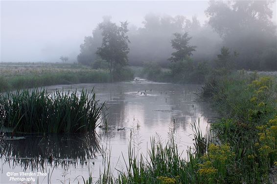 Die ochtend bij de Kluis... - Hamont-Achel