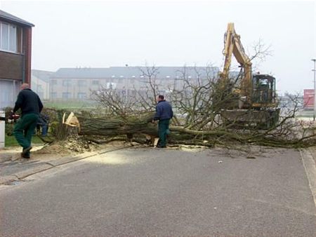 Die ochtend in de Plataanstraat... - Neerpelt
