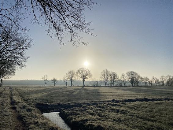 Die ochtend in het Hènt... - Pelt