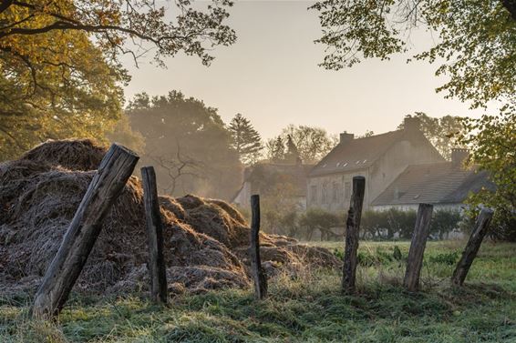 Die ochtend in het Hobos - Overpelt