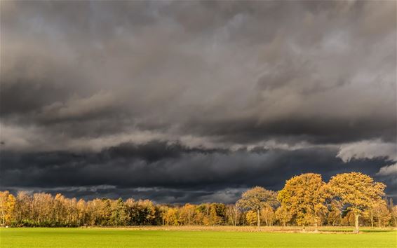 Die ochtend in het Lindel... - Overpelt