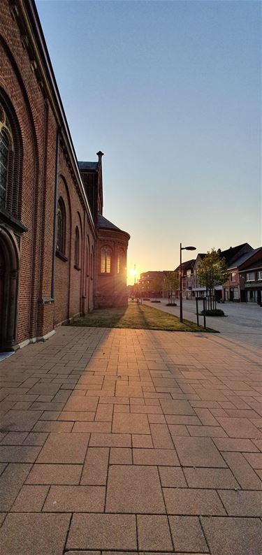 Die ochtend in Paal - Beringen