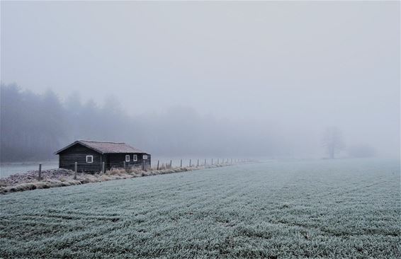 Die ochtend op Haarterheide... - Hamont-Achel