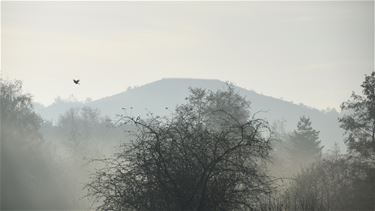 Die ochtendstond - Beringen