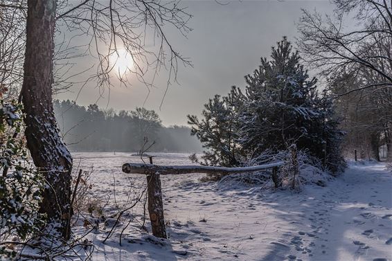 Die winterochtend in het Lindel... - Pelt