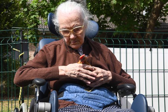 Dieren knuffelen in WZC Prinsenhof - Beringen