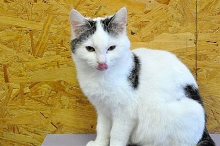 Dit is Anne-Catho