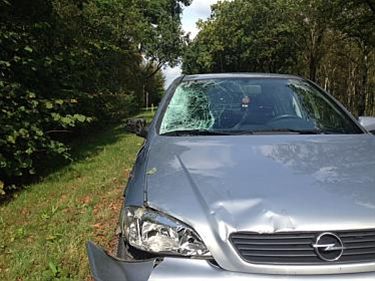 Dodelijk verkeersongeval op Napoleonweg - Overpelt