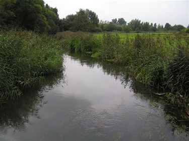 Doe uw zeg over de Dommel - Peer & Pelt