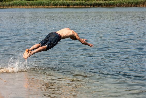 'Dolfijn' zomergevoel in de Sahara - Lommel