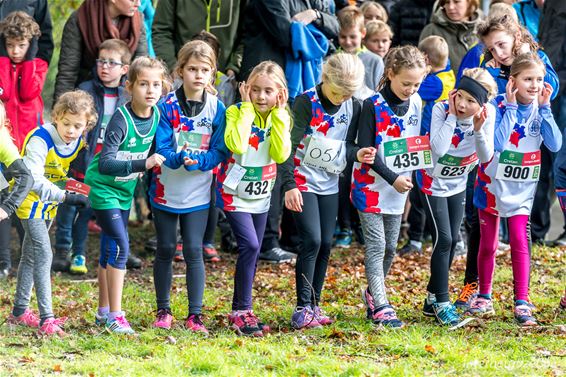 Dommelloop in de regen - Neerpelt