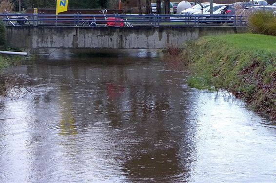 Dommelpeil stijgt - Neerpelt