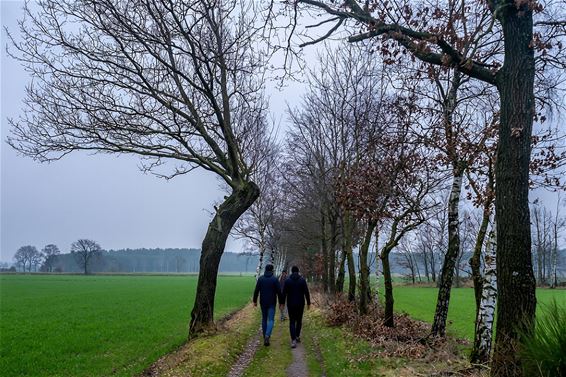 Dommeltrippers zetten feestjaar stevig in - Pelt