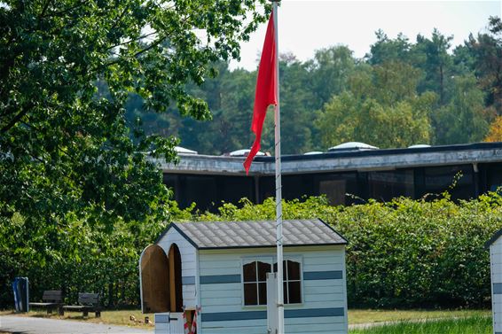 Doodse stilte aan plas Koersels Kapelleke - Beringen