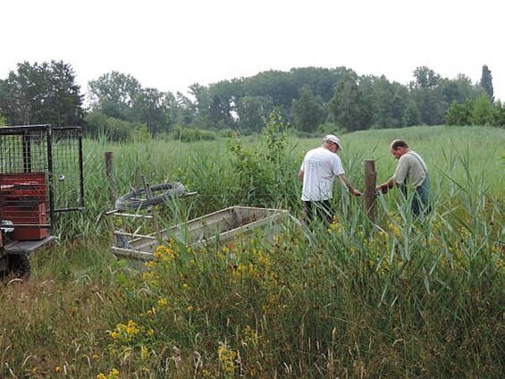 Draad in het Hageven - Neerpelt