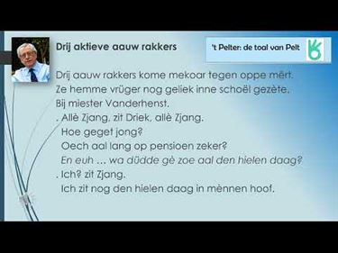 Drei aauw rakkers