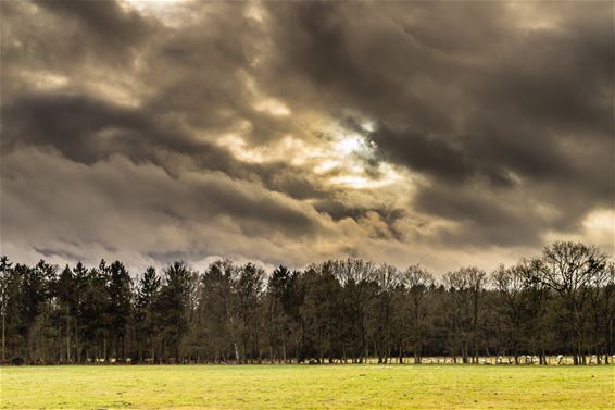Dreigende donkere wolken boven het Hobos - Overpelt