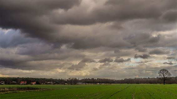 Dreigende lucht boven de Hoeven - Overpelt