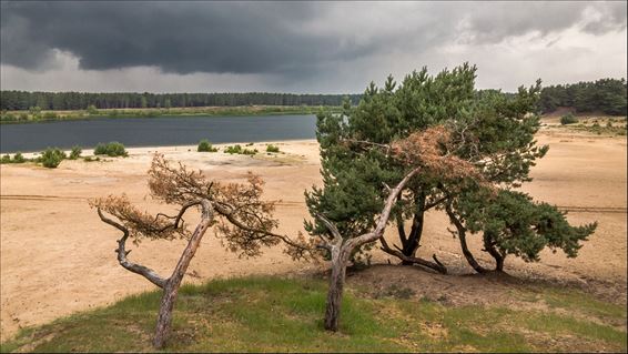 Dreigende wolken boven de Sahara - Lommel