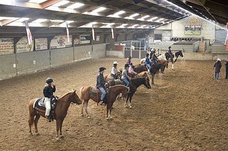 Dressuur in de manège - Hamont-Achel