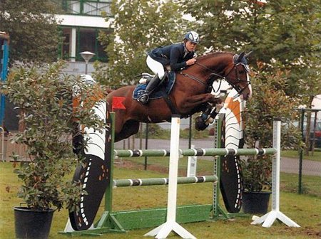 Drie keer 'paard van het jaar' - Neerpelt