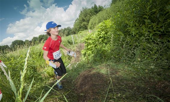 Driedaagse oriëntatielopen in Bosland - Lommel