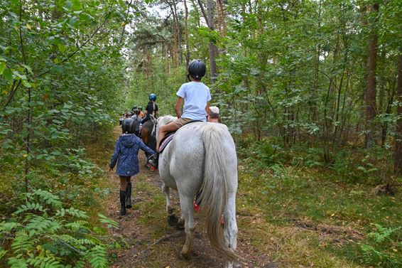 Driedaags ponykamp bij Club De Vlindervallei - Lommel